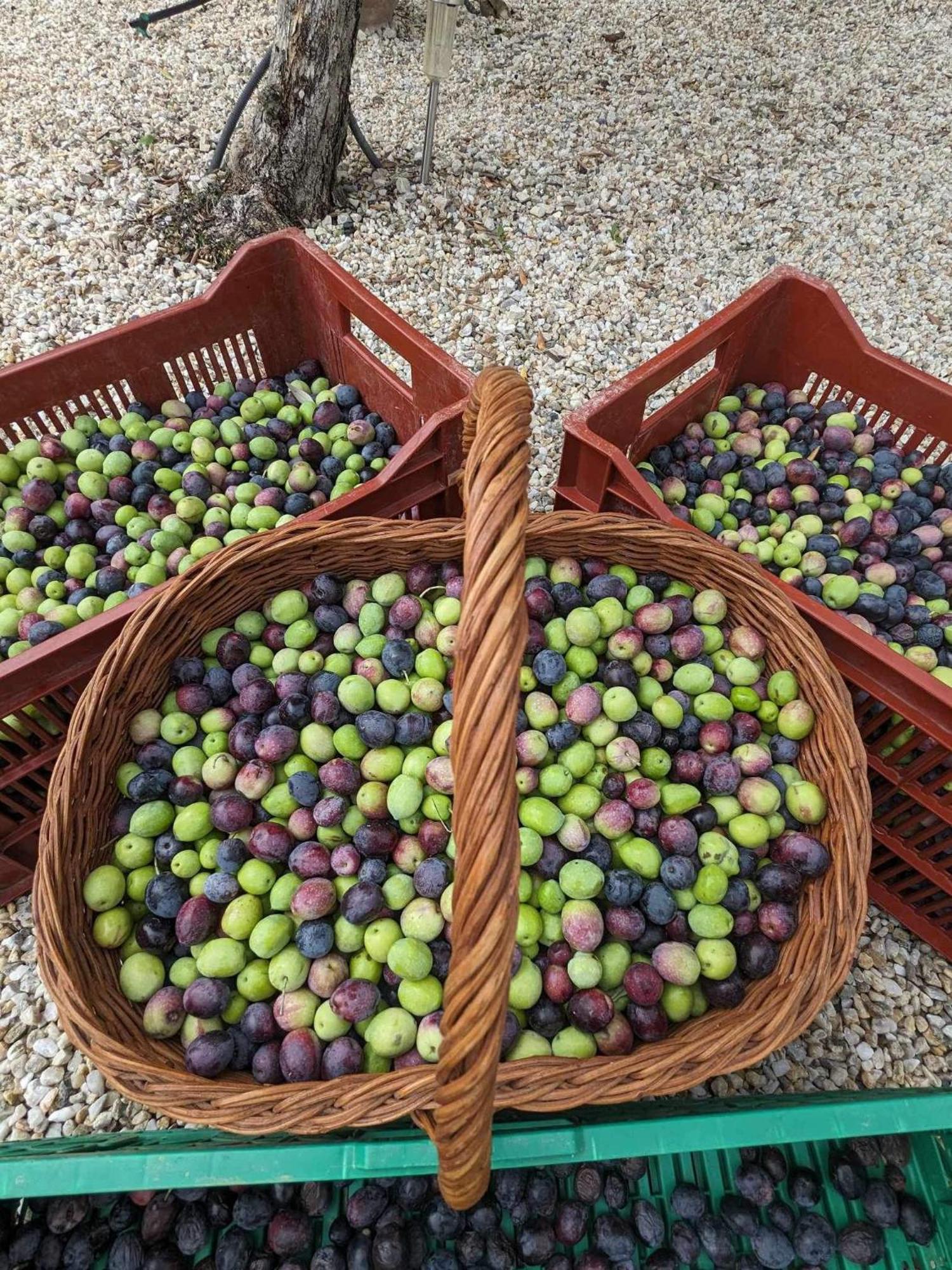 L'Oliveraie Robion en Luberon 外观 照片